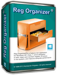 reg organizer download